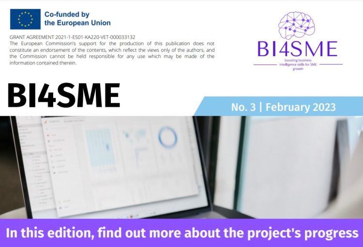 BI4SME Newsletter 3